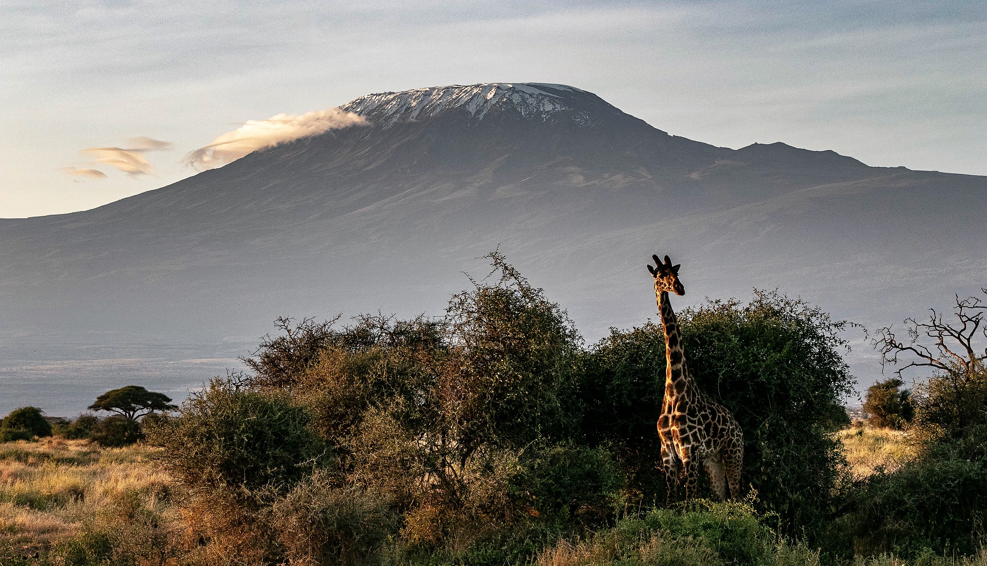 Kilimandjaro, Tanzanie © Herbert Aust