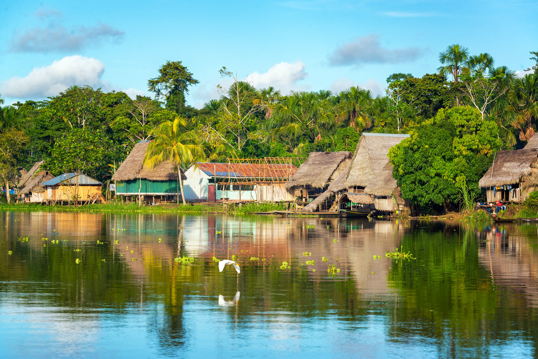 Maisons au bord de la rivière Yanayacu, Amazonie, Pérou © Discover Corps (CC BY-ND 2.0)