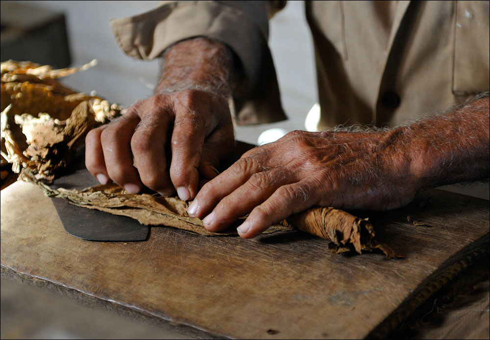 Fabrication de cigares, plantation Alejandro Robaina, Cuba © Romtomtom  