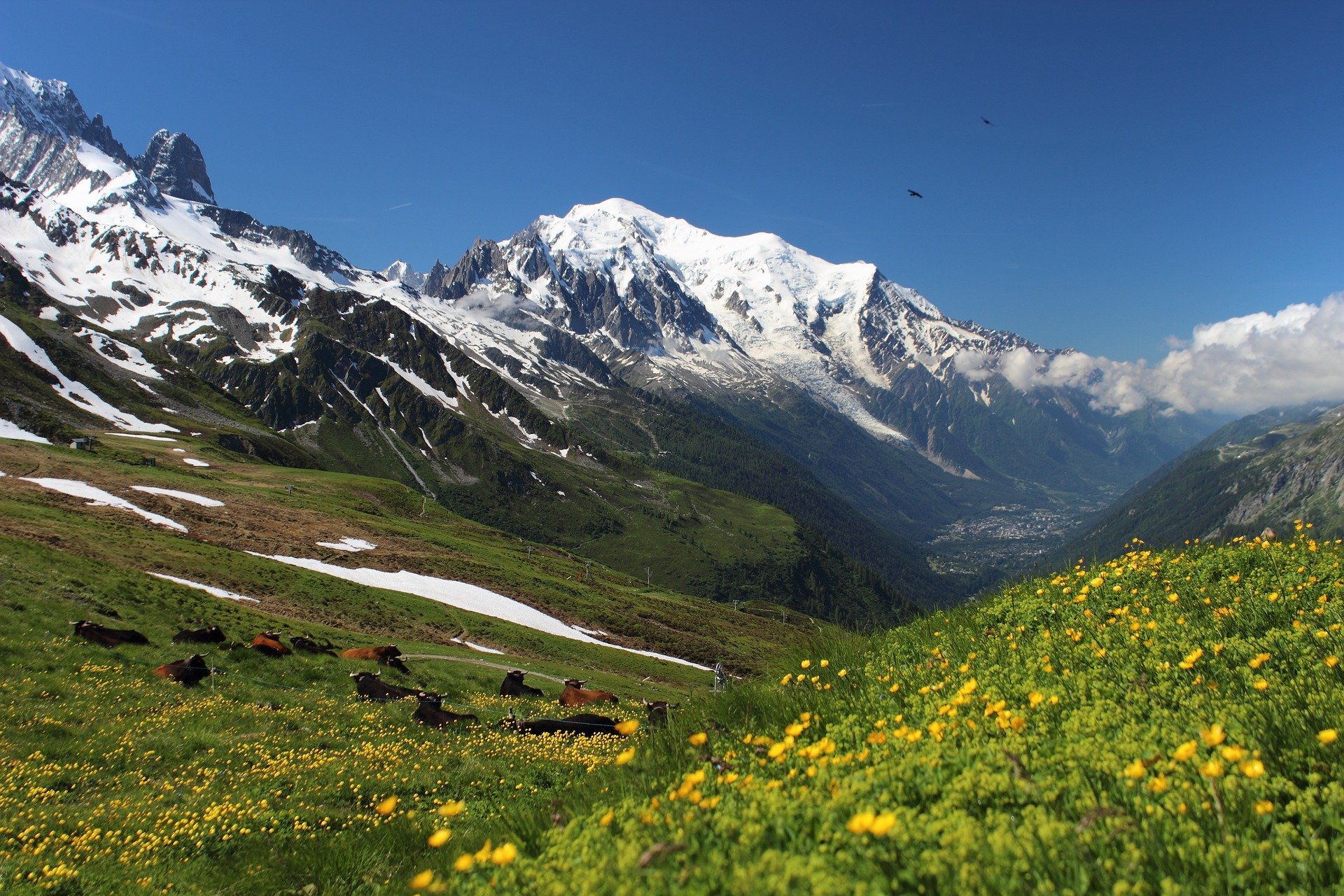 Mont Blanc, Alpes, France © Steen Jepsen