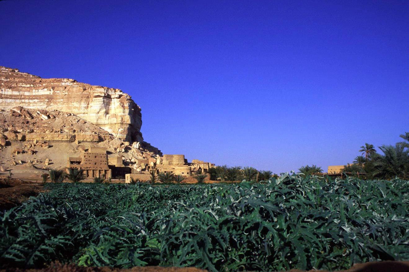 Jardins, Adrere Amellal, Siwa, Égypte © Adrere Amellal