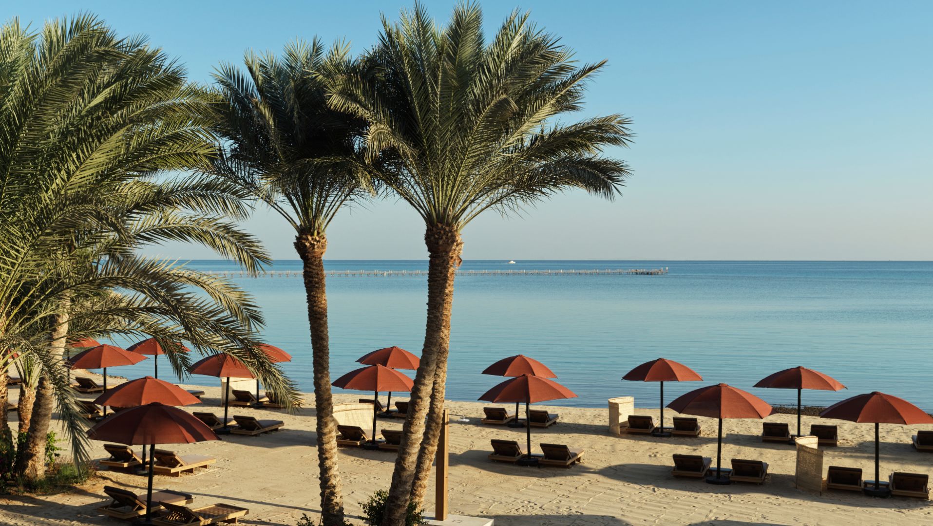 Plage privée et palmiers, Chedi El Gouna, Hurghada, Égypte © Chedi El Gouna