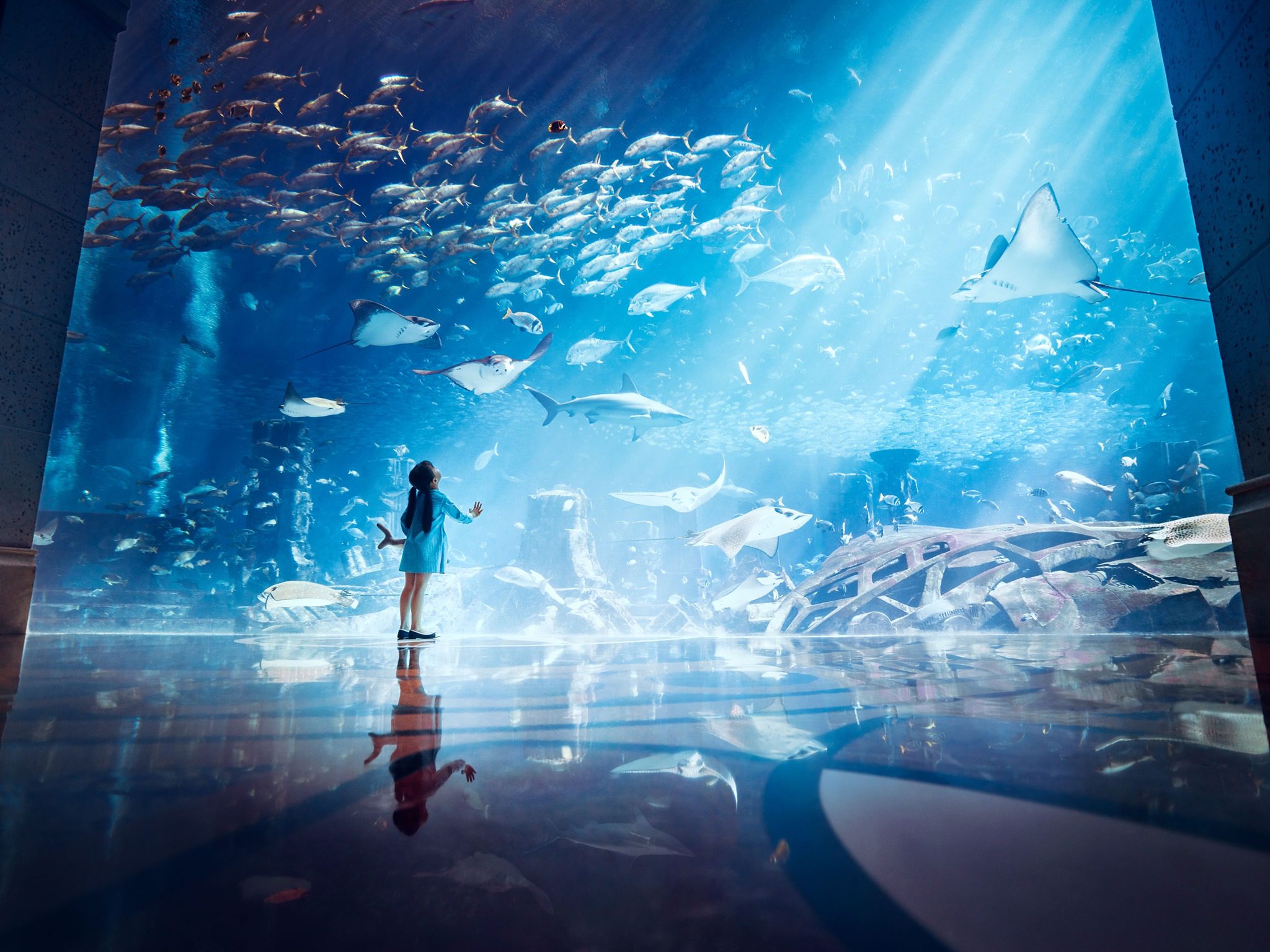 Lost Chambers Aquarium, Hôtel Atlantis The Palm, Dubaï © Atlantis The Palm