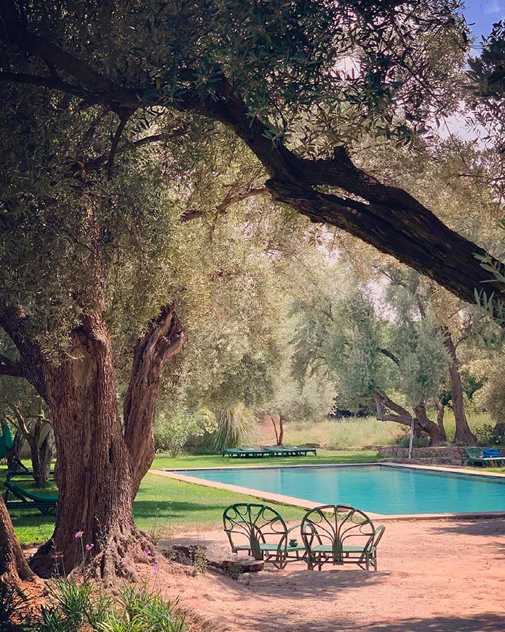 Piscine © Berber Lodge