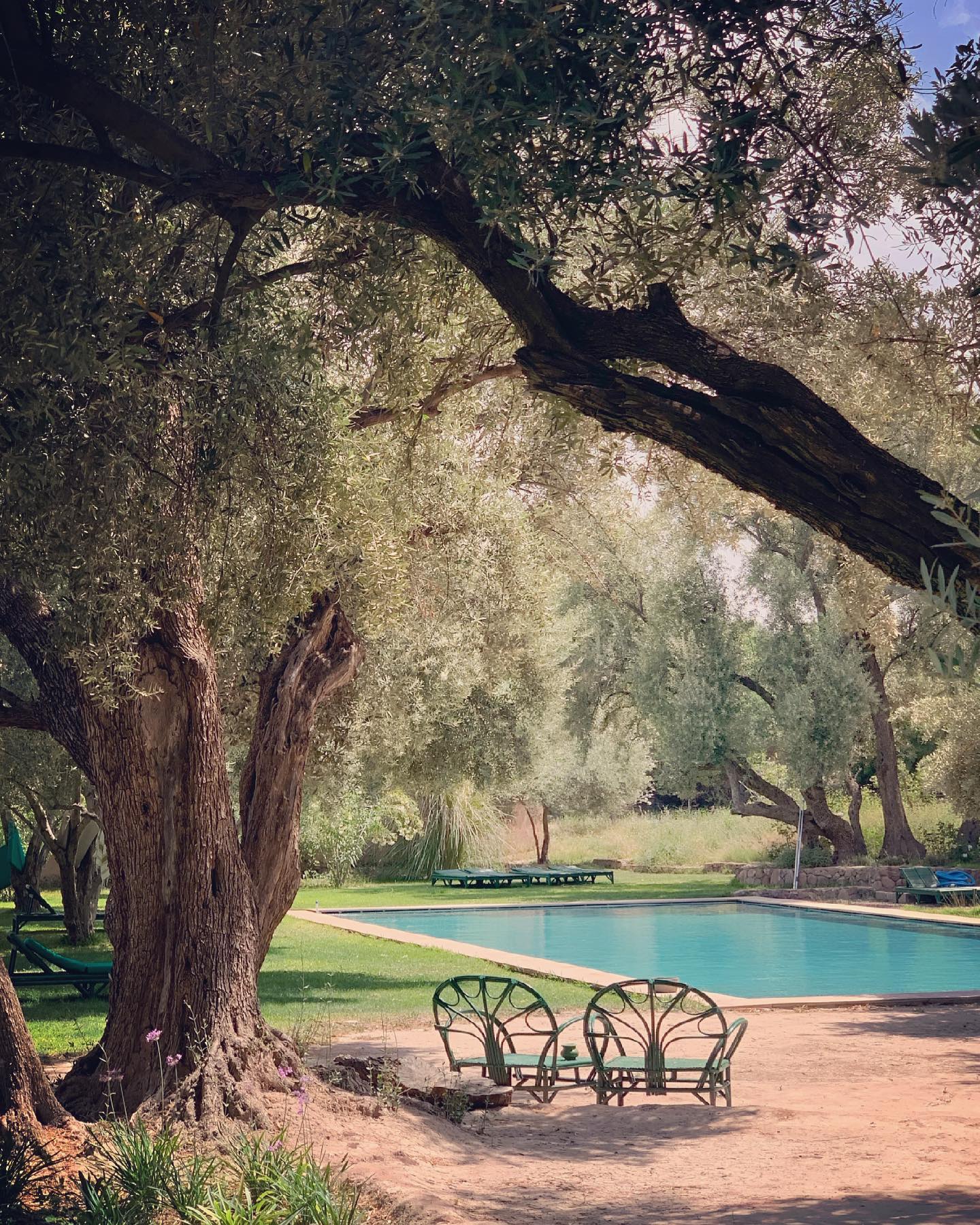 Piscine © Berber Lodge