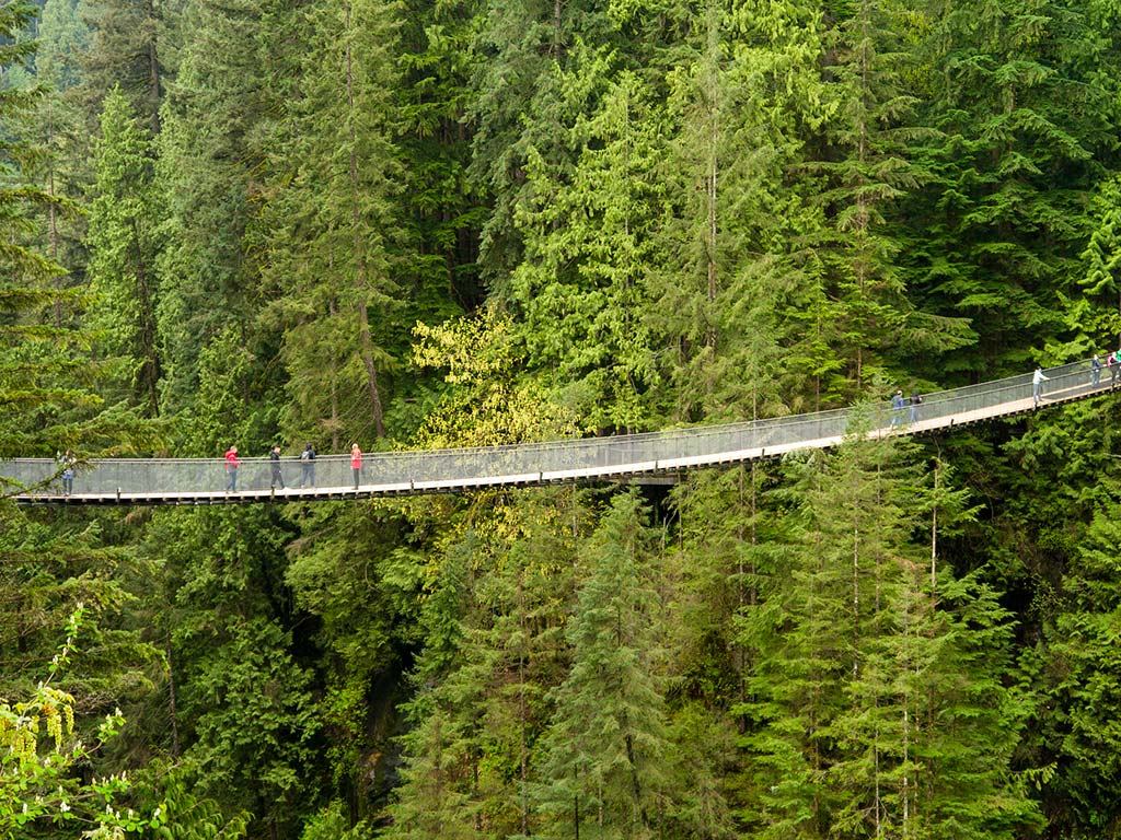 Pont suspendu Capilano, Colombie-Britannique, Canada © brookpeterson