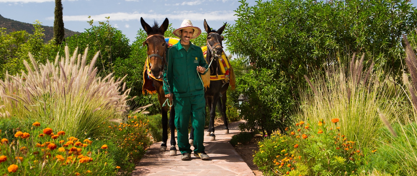 Promenade à mulets, Kasbah Tamadot, Maroc © Virgin Edition limited