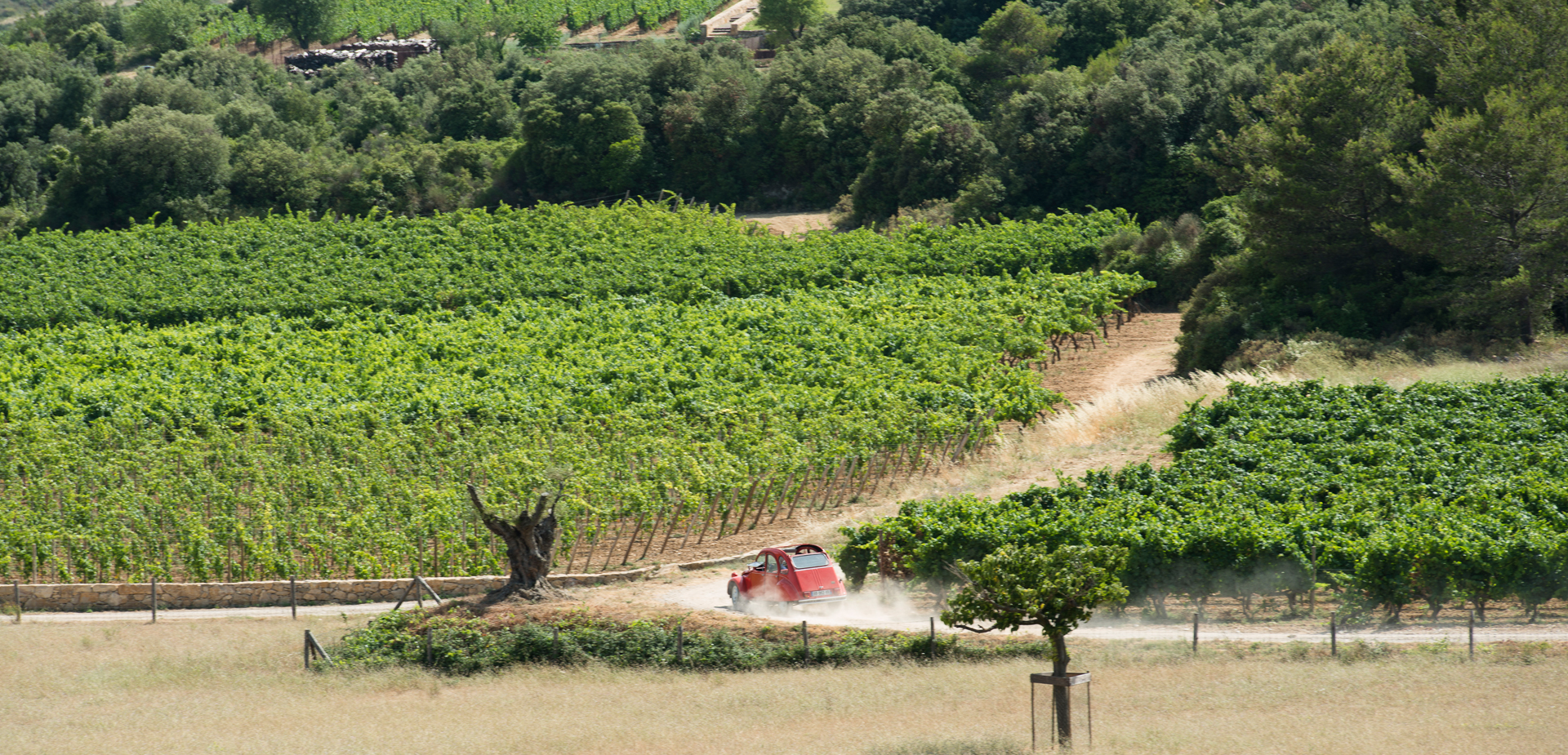 Excursion en 2 CV proposée par le Château Castigno, Assignan, France © Château Castigno