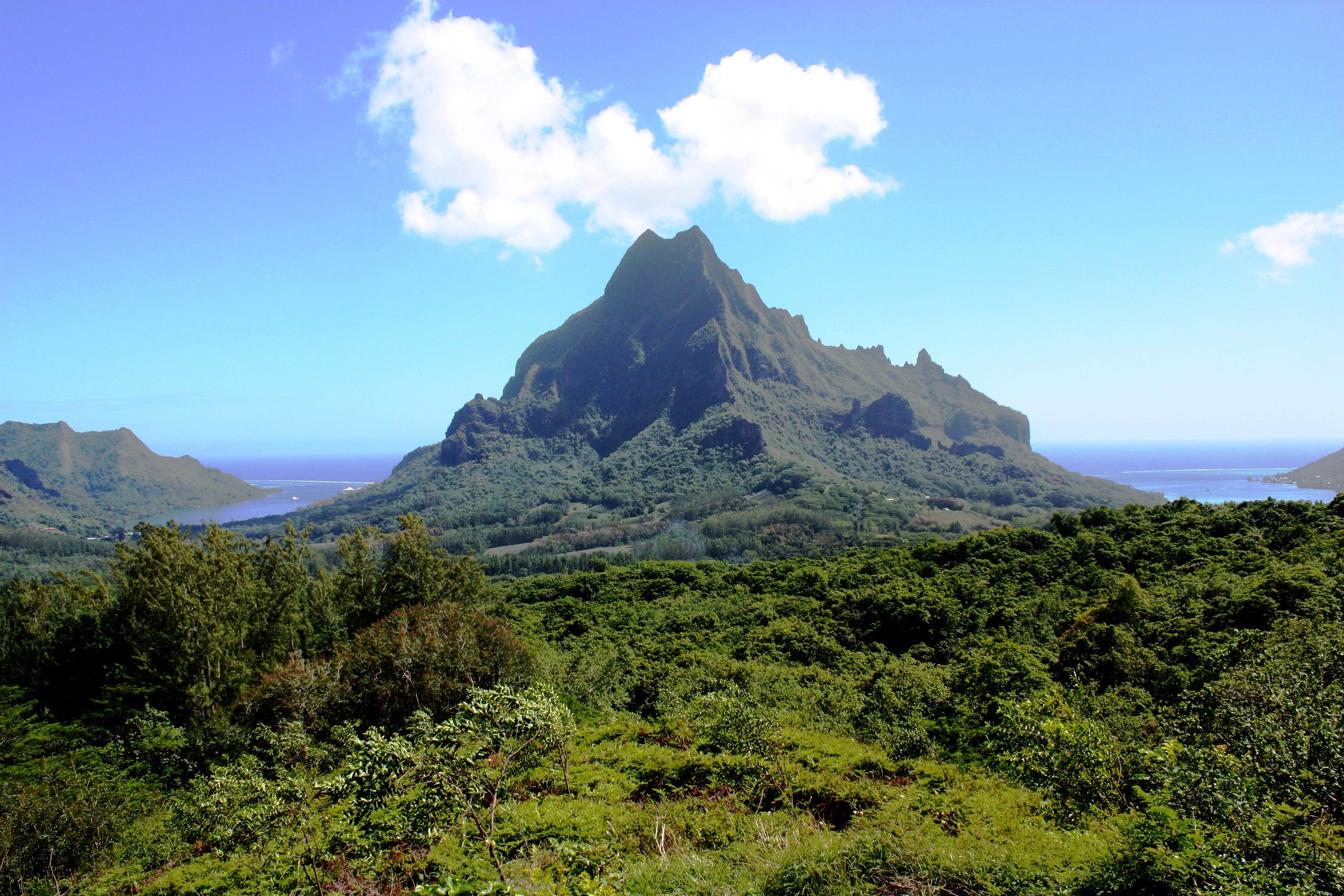 Mont Rōtui, Moorea, Polynésie française © dany13