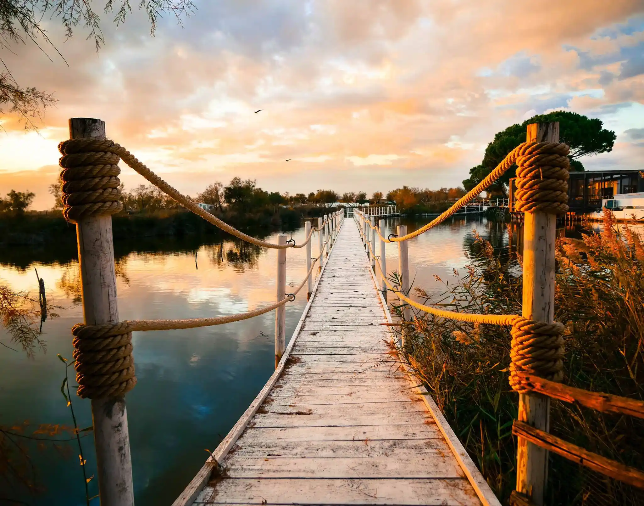 Passerelle au soleil couchant, Mas de la Fouque © Mas de la Fouque