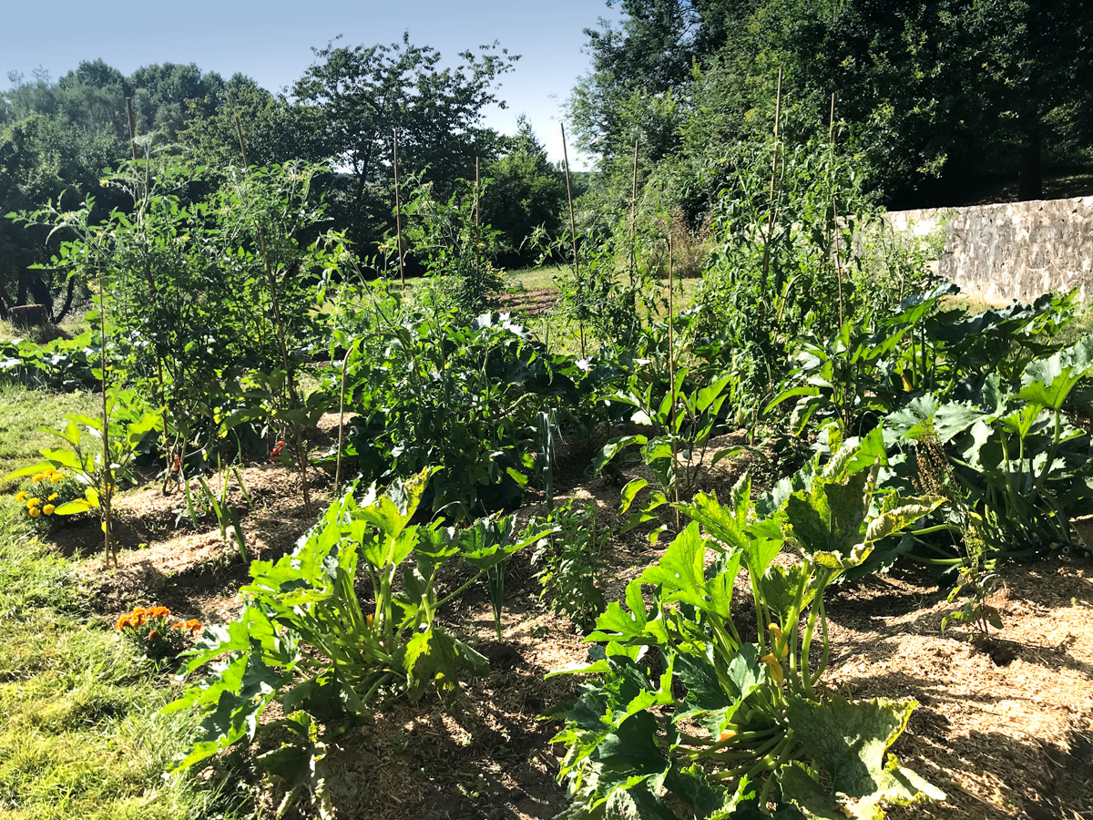 Le potager, d'une île, Perche, Normandie © d'une île