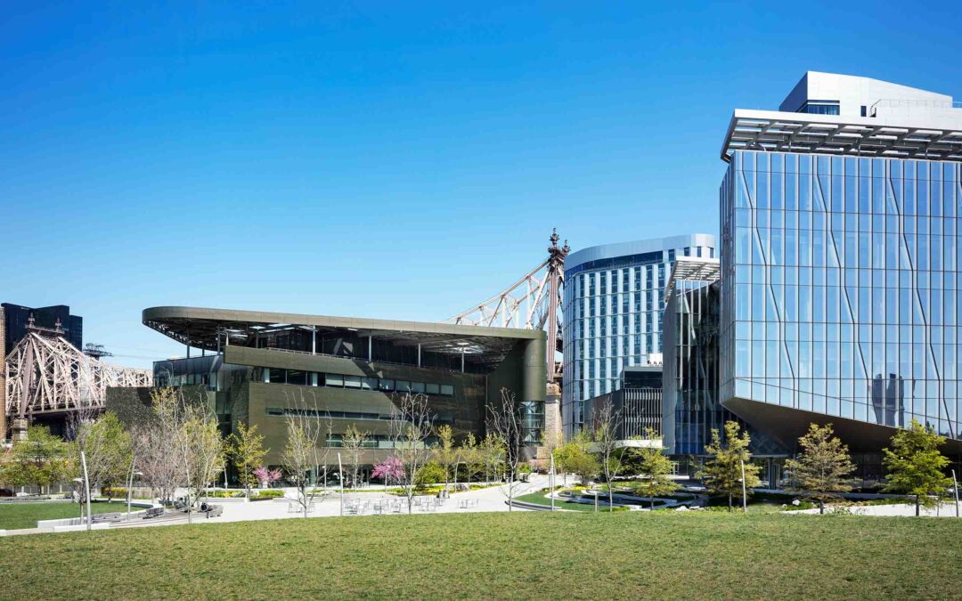 Graduate Roosevelt Island, le nouvel hôtel arty à New-York