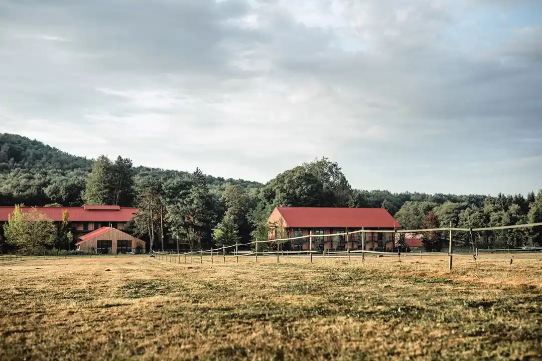 Autour du Barn, Bonnelles, France © Le Barn