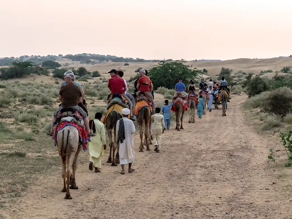 Excursion à dos de chameau, désert du Thar, Jaisalmer, Rajasthan, Inde © Ninara