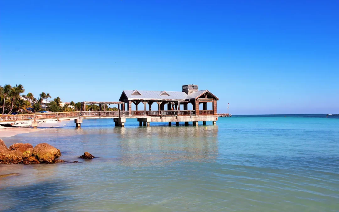 Découverte du Sud de la Floride